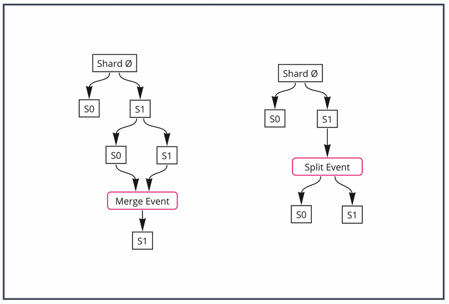 Split and Merge events